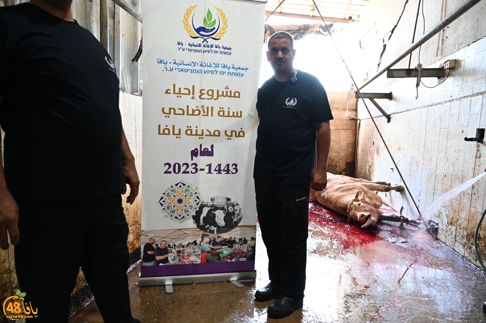 WhatsApp Image 2023-06-29 at 3.40.42 PM.jpg